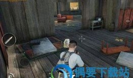 吃鸡爆料火凤凰视频,揭秘全新游戏玩法与视觉盛宴